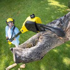 Professional Tree Services in Irondale, GA