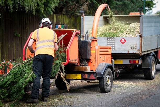 Best Firewood Processing and Delivery  in Irondale, GA